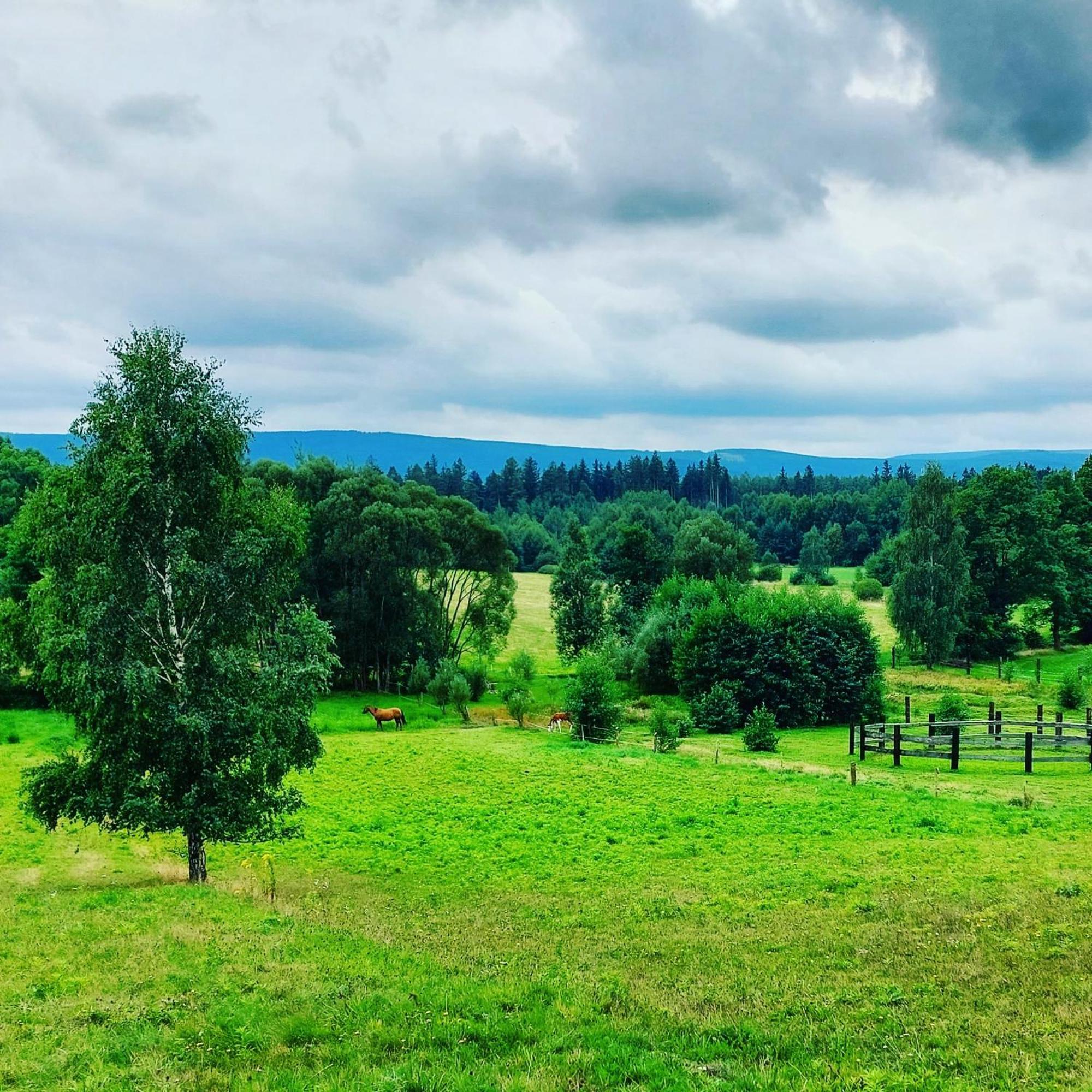 Maja Pokoje Z Widokiem Kameralna Agroturystyka Na Pogorzu Izerskim Z Sauna I Jacuzzi (Adults Only) Mirsk Exterior foto