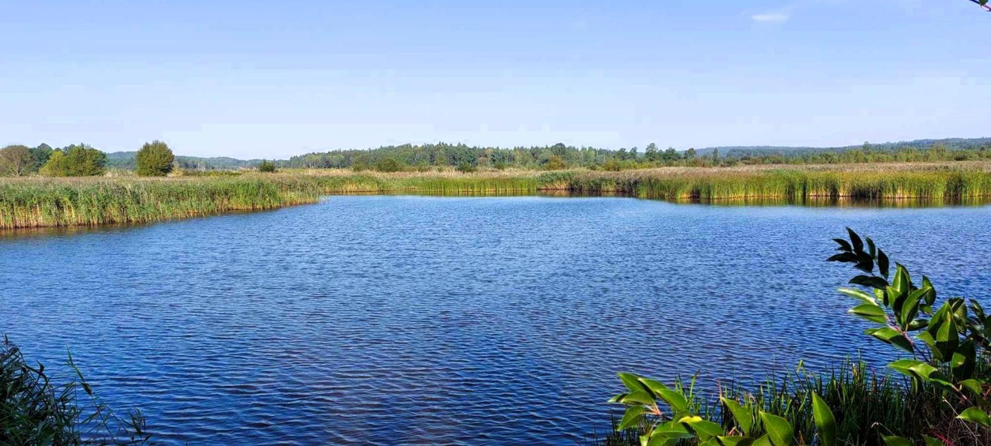 Maja Pokoje Z Widokiem Kameralna Agroturystyka Na Pogorzu Izerskim Z Sauna I Jacuzzi (Adults Only) Mirsk Exterior foto