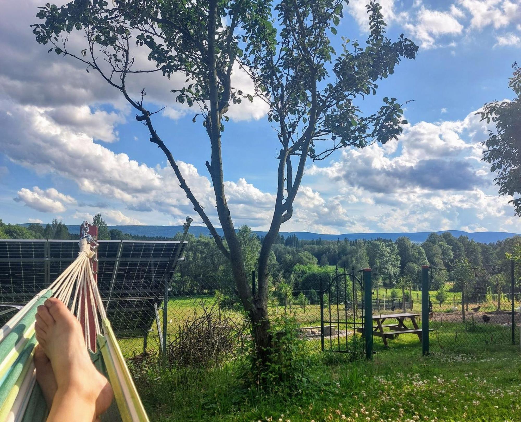 Maja Pokoje Z Widokiem Kameralna Agroturystyka Na Pogorzu Izerskim Z Sauna I Jacuzzi (Adults Only) Mirsk Exterior foto